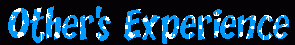 Auto theft Exprience